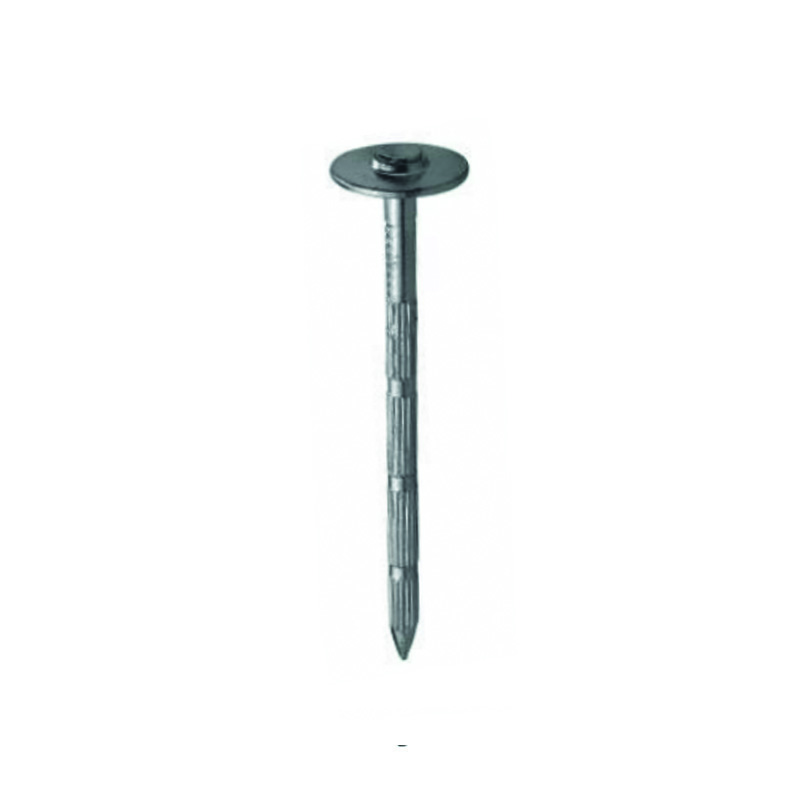 Washered nail