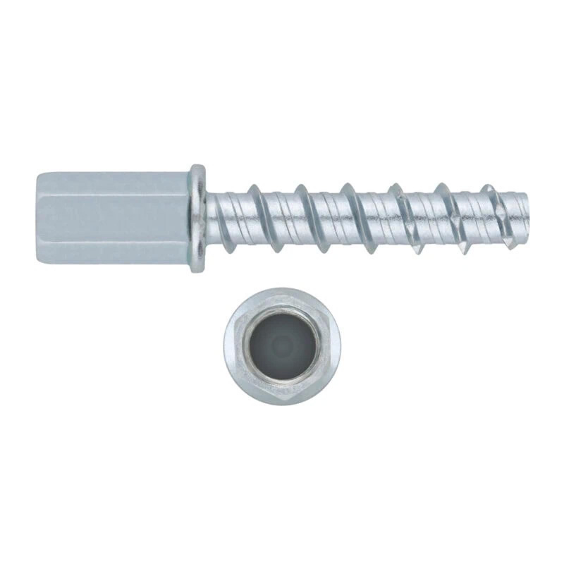 Bolt anchor TFF